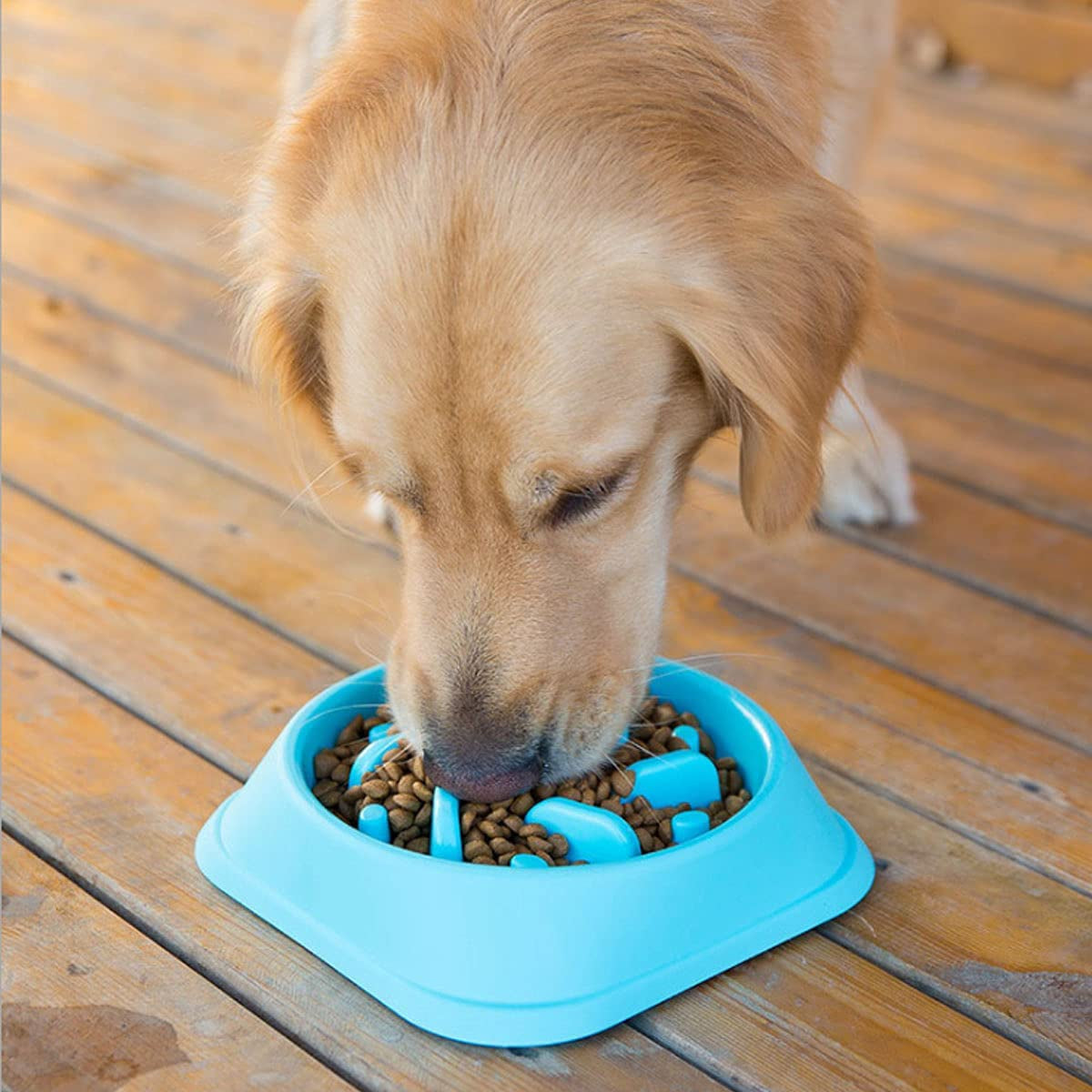 Slow Feeder Dog Bowl for Large and Small Dogs