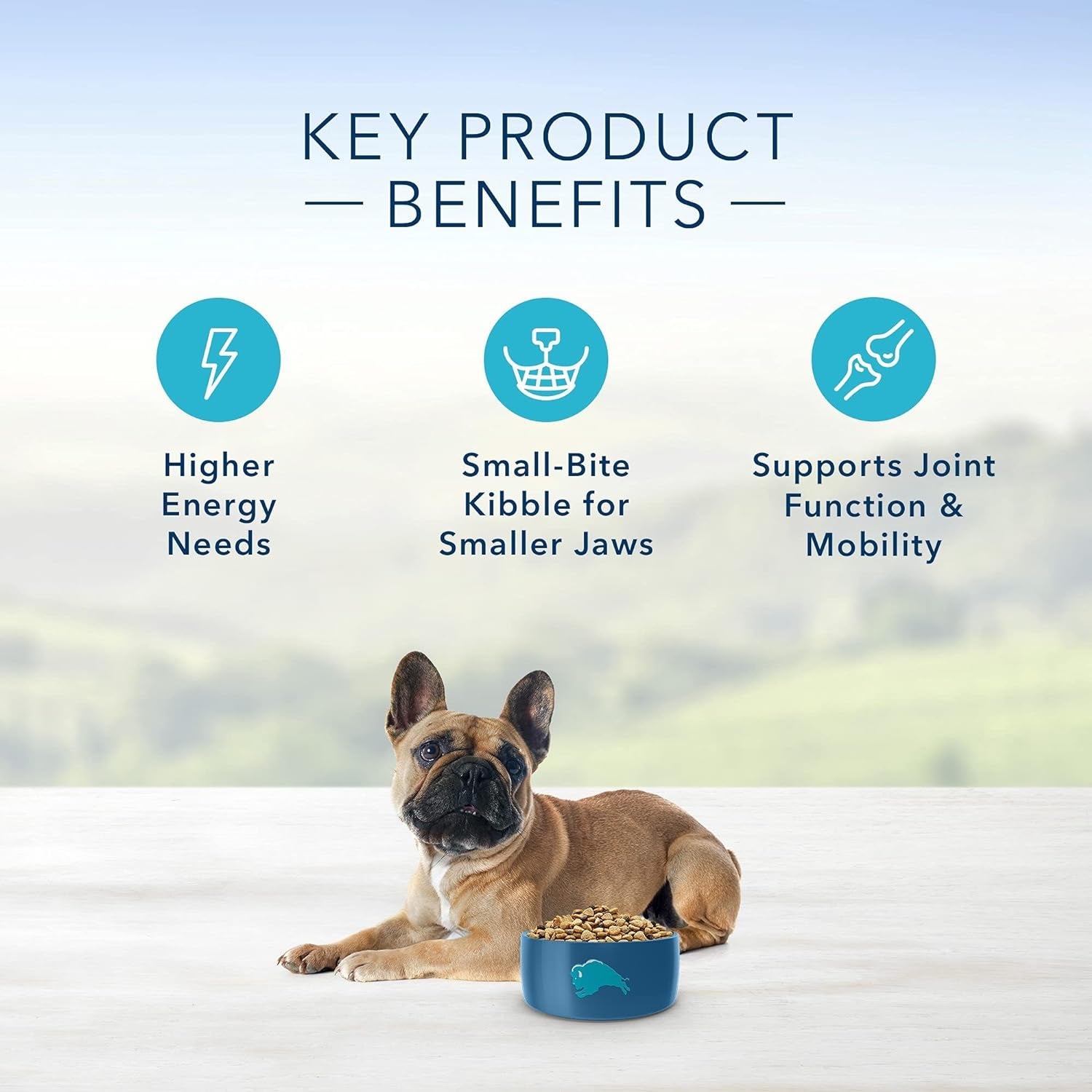 Life Protection Small Breed Chicken and Brown Rice Dog Food