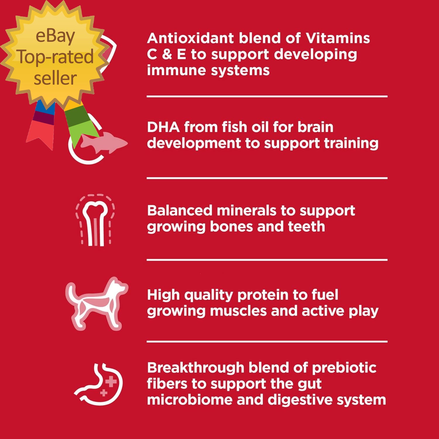 Small Breed Chicken and Brown Rice Dog Food