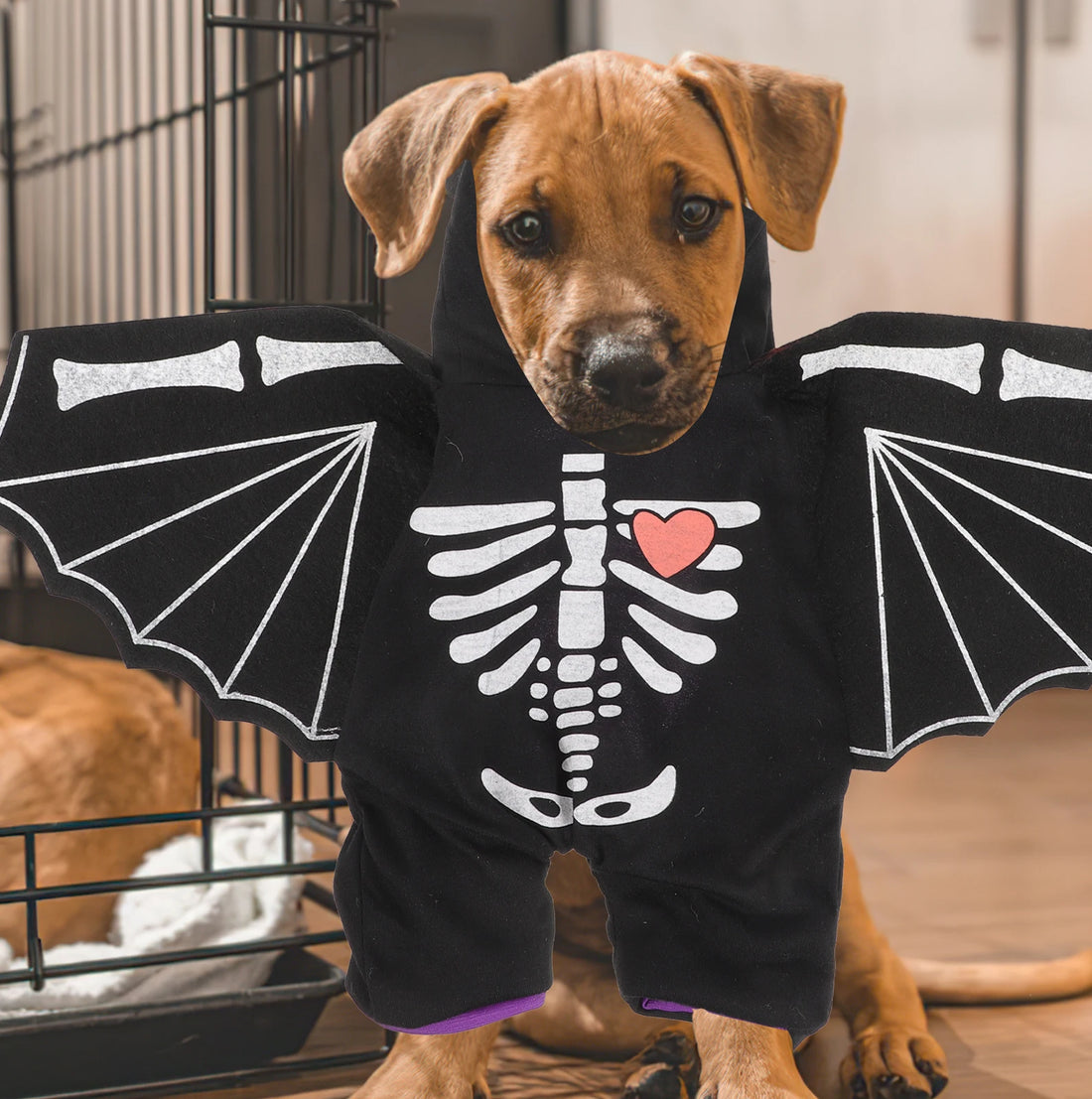 Puppy Bat Cosplay Outfits Pet Costume Small Dog Clothes Halloween Costumes Black Polyester