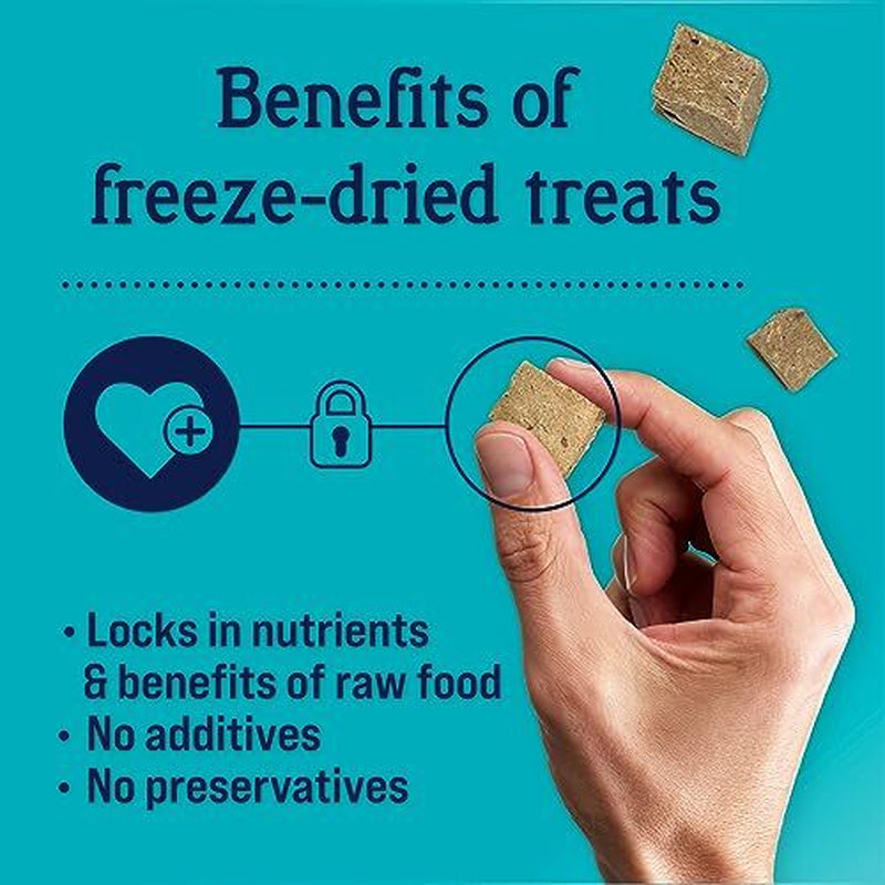Stewart Freeze Dried Beef Liver Dog Treats Grain Free USA Made 12 Ounce Tub