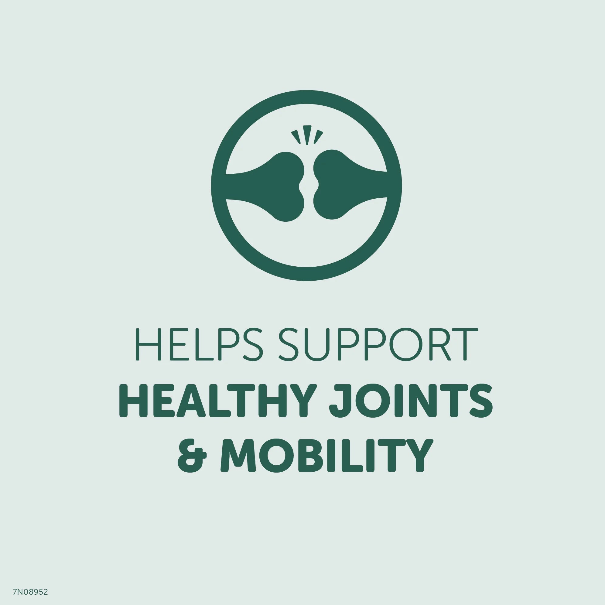 Heathfuls Hip and Joint Support for Dogs