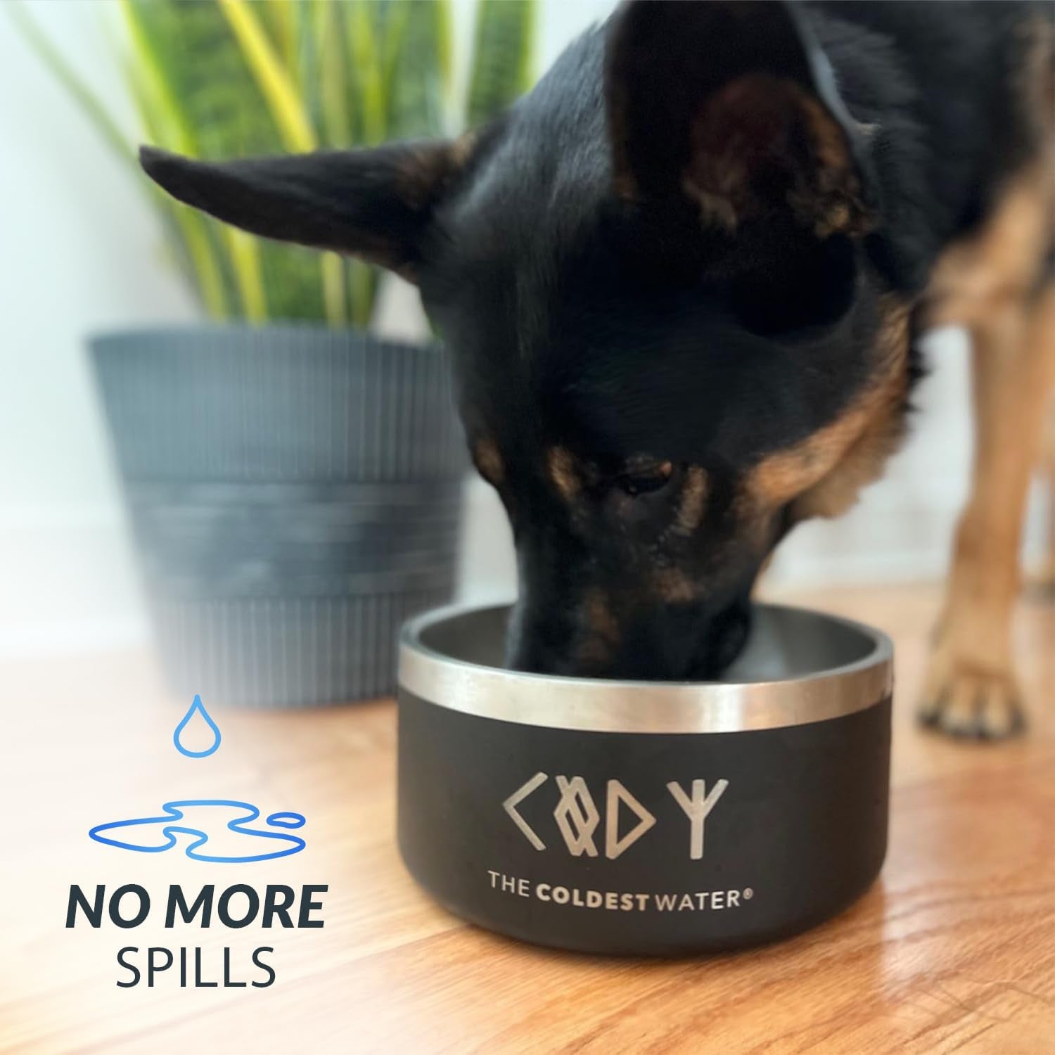 Coldest Dog Bowl Stainless Steel