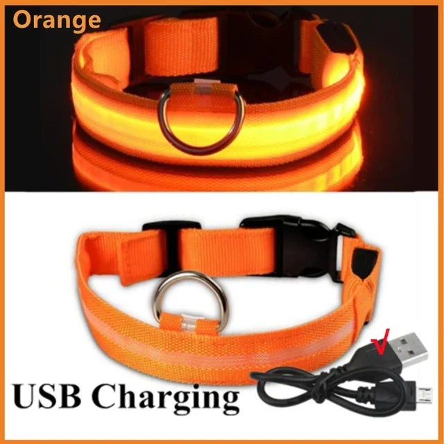 🎁 LED Glowing Dog Collar Adjustable Flashing Rechargea Luminous Collar Night Anti-Lost Dog Light HarnessFor Small Dog Pet Products (100% off)