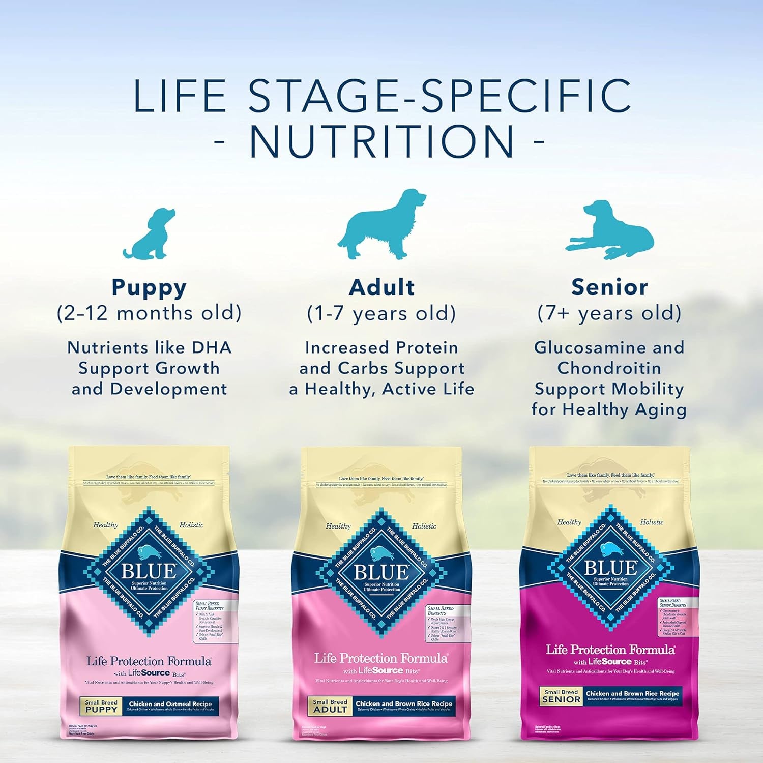 Life Protection Small Breed Chicken and Brown Rice Dog Food